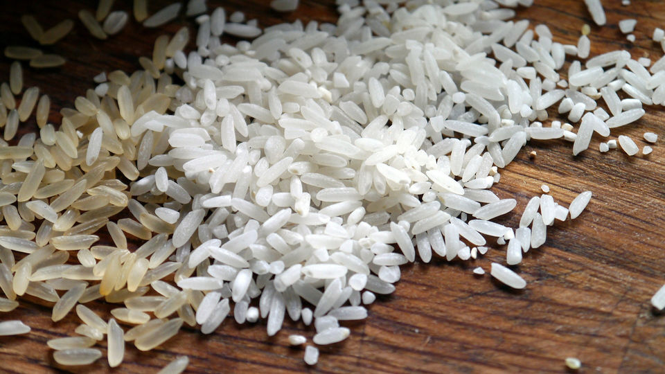 ryžių
